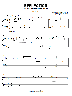 Reflection von David Zippel (Download) 