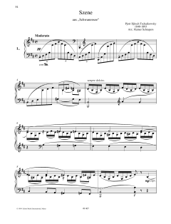 Scene from "Swan Lake" von Peter Iljitsch Tschaikowsky (Download) 