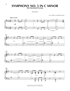 Symphony No. 5 In C Minor, First Movement Excerpt von Ludwig van Beethoven (Download) 