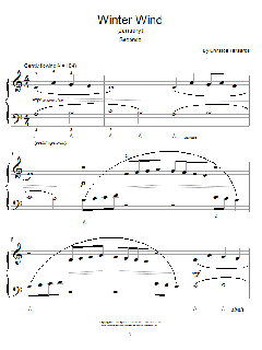 Winter Wind von Christos Tsitsaros (Download) 