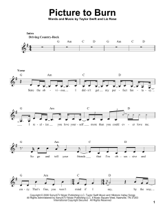 Picture To Burn von Taylor Swift (Download) 