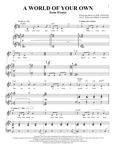 A World Of Your Own von Neil Hannon (Download) 