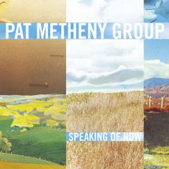 Another Life von Pat Metheny (Download) 