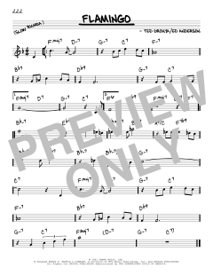 Flamingo von Ted Grouya (Download) 