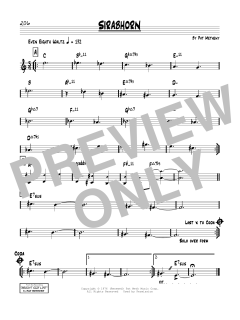 Sirabhorn von Pat Metheny (Download) 