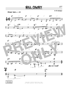 Soul Cowboy von Pat Metheny (Download) 