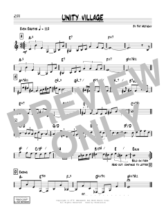 Unity Village von Pat Metheny (Download) 