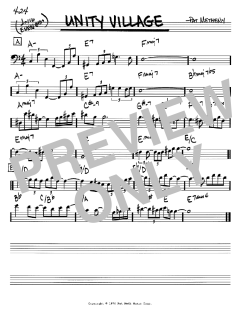 Unity Village von Pat Metheny (Download) 