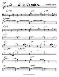 Wild Flower von Wayne Shorter (Download) 