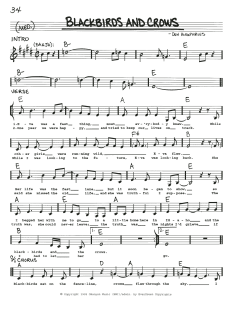 Blackbirds and Crows von Nashville Bluegrass Band (Download) 