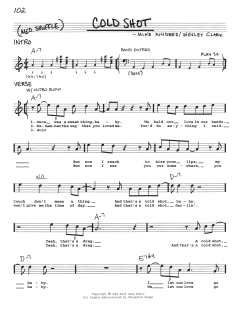 Cold Shot von Stevie Ray Vaughan (Download) 