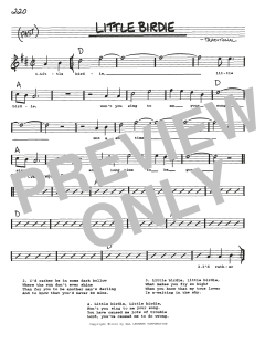 Little Birdie (Download) 