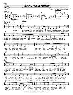 She's Everything von Brad Paisley (Download) 