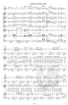 Der falsche Ritter (Andreas Hantke) 