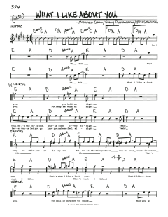 What I Like About You von The Romantics (Download) 