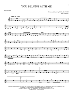 You Belong With Me von Taylor Swift (Download) 