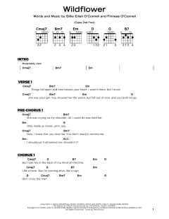 WILDFLOWER von Billie Eilish (Download) 