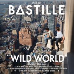 Good Grief von Bastille (Download) 