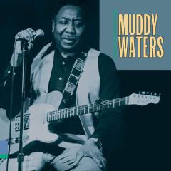 I'm Your Hoochie Coochie Man von Muddy Waters (Download) 