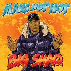 Man's Not Hot von Big Shaq (Download) 