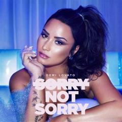 Sorry Not Sorry von Demi Lovato (Download) 