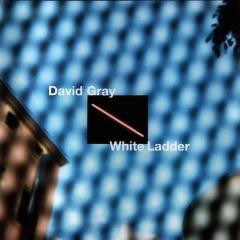 This Year's Love von David Gray (Download) 