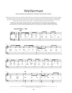 Wellerman von Nathan Evans (Download) 