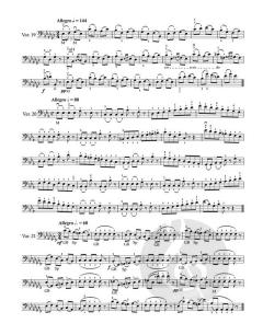 40 Variationen op. 3 von Otakar Ševčík (Download) 