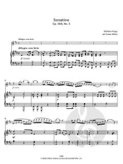 Sonatine No. 3 op. 388 von Wilhelm Popp (Download) 