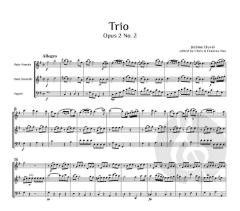 Trio op. 2 No. 2 von Jérôme Duval 
