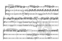 Trio op. 2 No. 2 von Jérôme Duval 