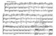 Trio op. 2 No. 2 von Jérôme Duval 