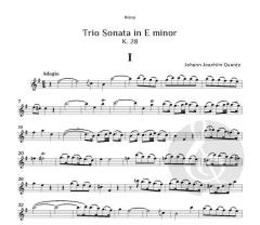Trio Sonata in E minor, K. 28 von Johann Joachim Quantz 