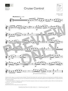 Cruise Control (Download) 