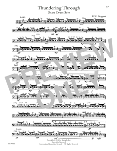 Thundering Through von R.W. Buggert (Download) 