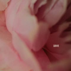 Survive von Lewis Capaldi (Download) 