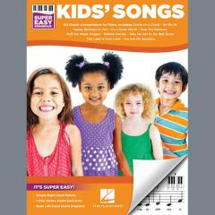 The Hokey Pokey von Larry LaPrise (Download) 