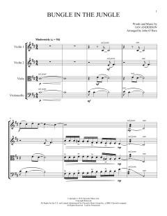 Bungle von Ian Anderson (Download) 