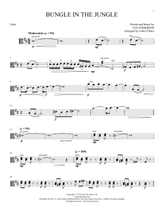 Bungle von Ian Anderson (Download) 