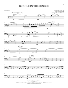 Bungle von Ian Anderson (Download) 