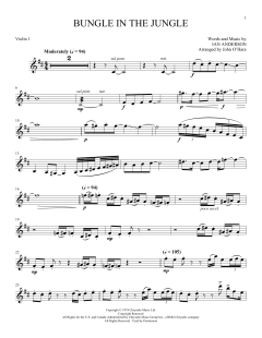 Bungle von Ian Anderson (Download) 