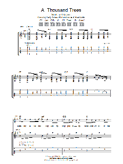A Thousand Trees von Stereophonics (Download) 
