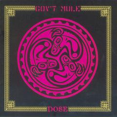 Blind Man In The Dark von Warren Haynes (Download) 