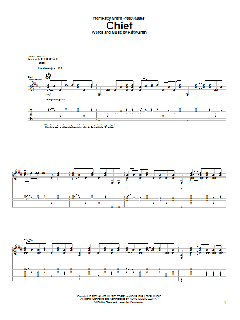 Chief von Patty Griffin (Download) 