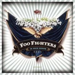 Cold Day In The Sun von Foo Fighters (Download) 