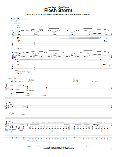 Flesh Storm von Slayer (Download) 