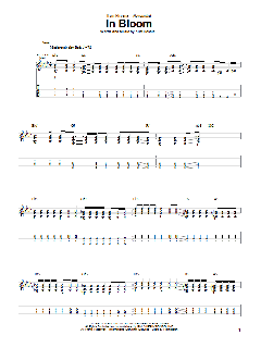 In Bloom von Nirvana (Download) 