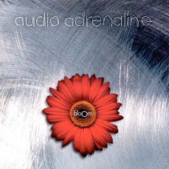 Man Of God von Audio Adrenaline (Download) 