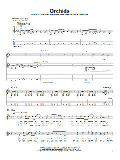 Orchids von Stone Sour (Download) 