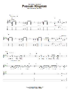 Possum Kingdom von Toadies (Download) 